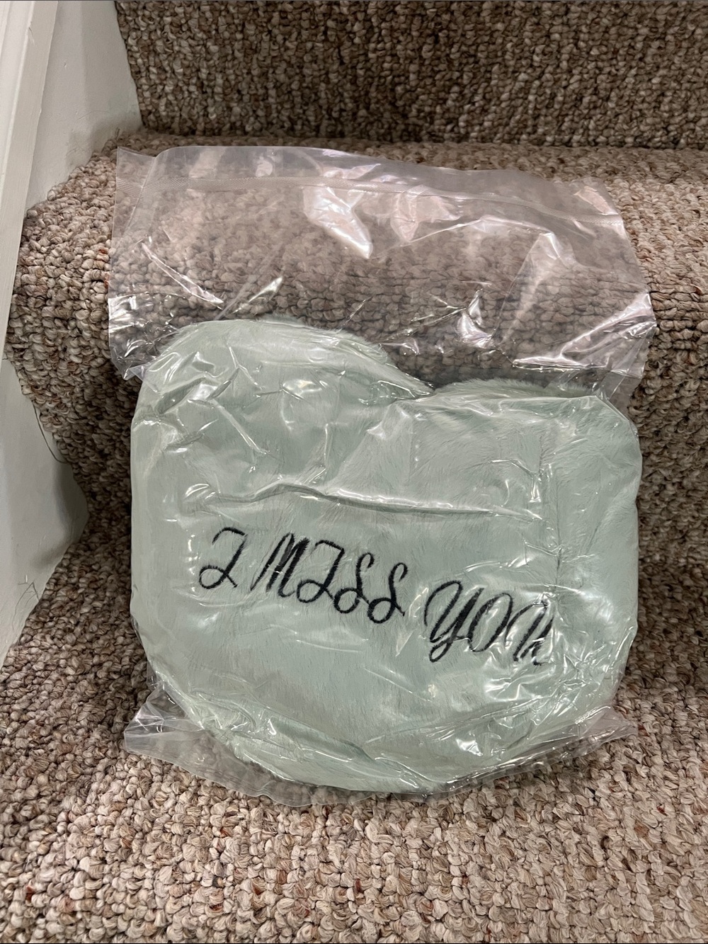 I Miss You Plush Heart Throw Pillow - Seafoam Green New